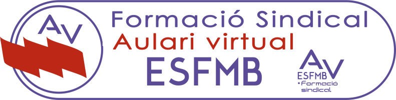FORMACIÓ_ESFMB